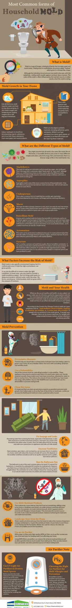Common Types Of Household Mold