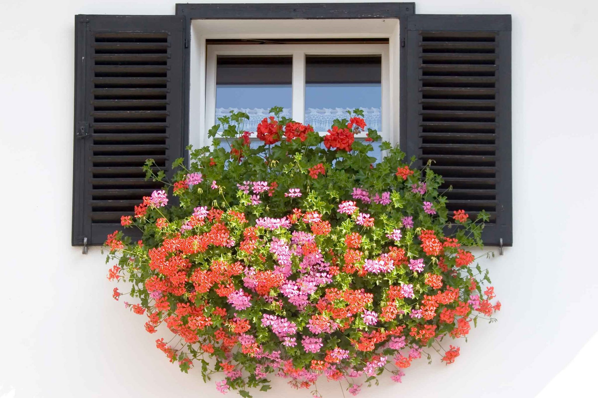 How To Hang Window Boxes On Home Exteriors   Window Box Installation 2048x1365 