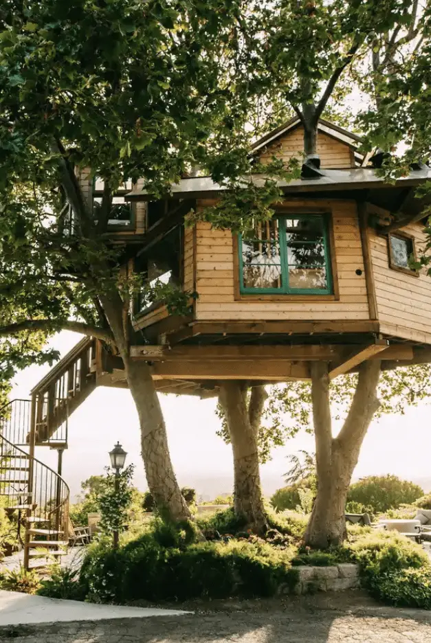 San Jose Treehouse (California)