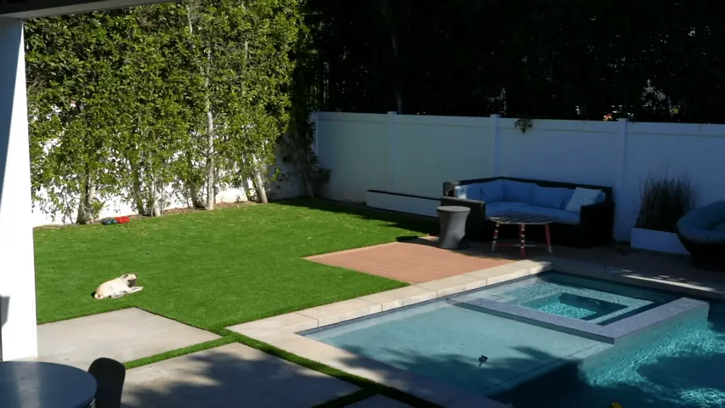 Outdoor pool with a pug