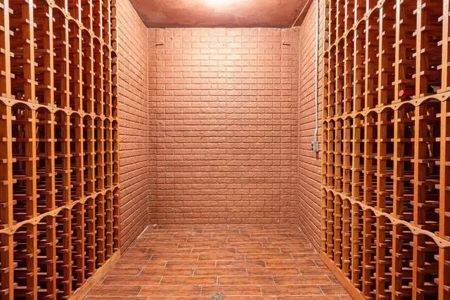 Giannis Antetokounmpo House Wine Cellar
