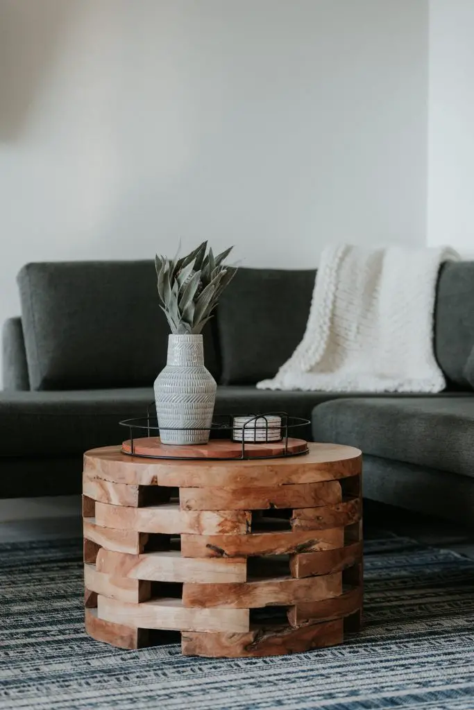 Coffee Table With A Plant