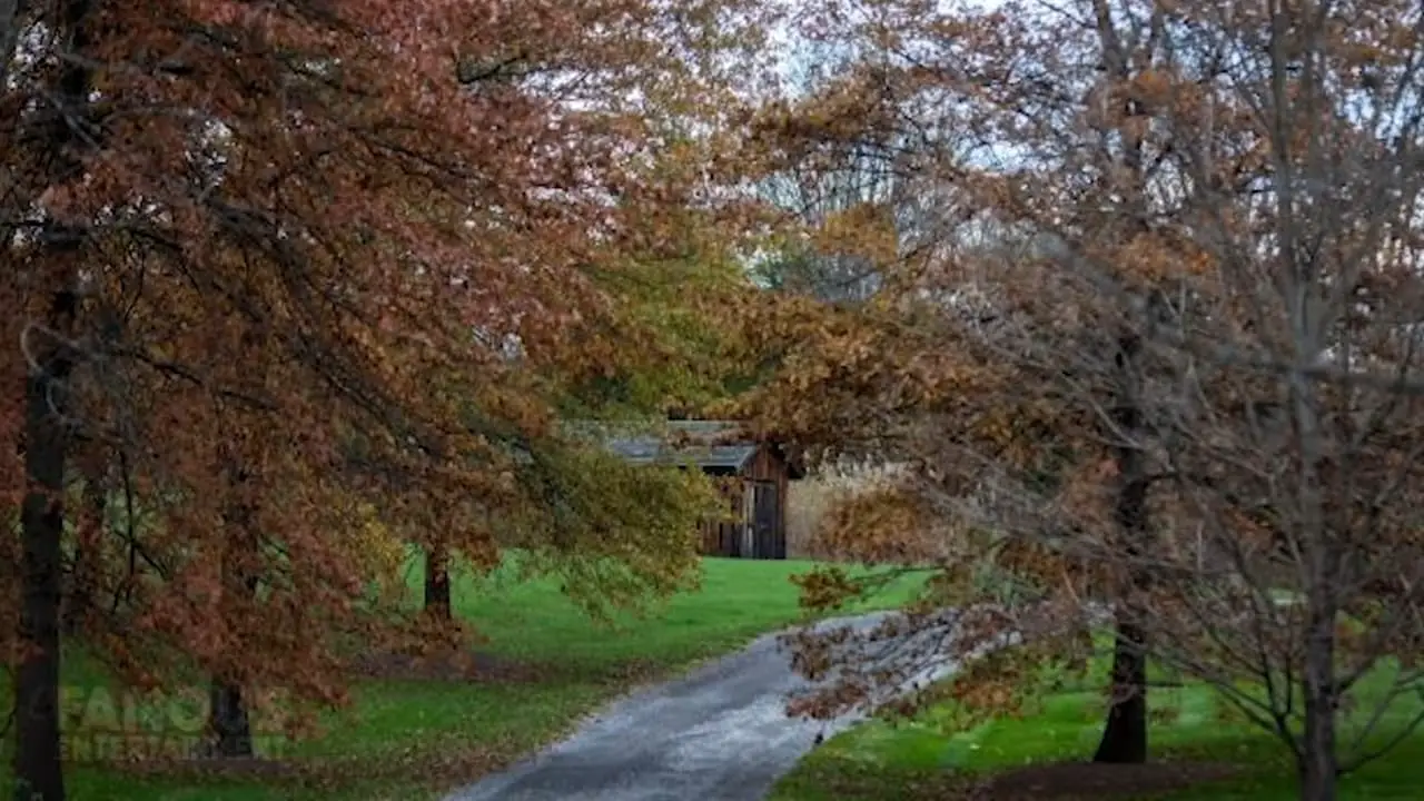 Robert De Niro’s Garden