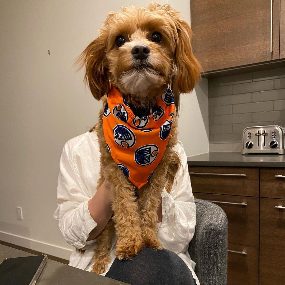 A peek from Leon Draisaitl’s kitchen