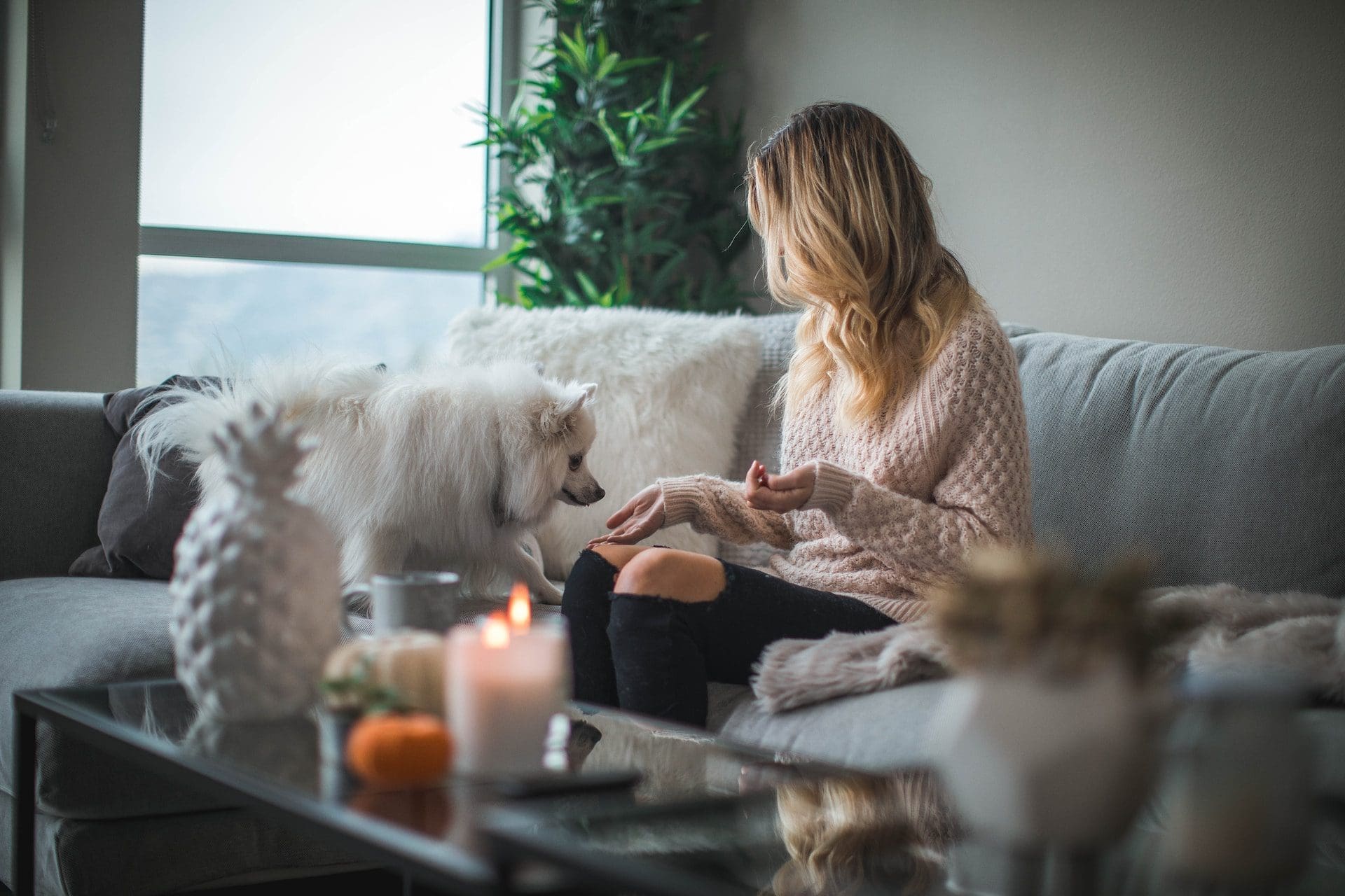 Woman With Her Pet Dog