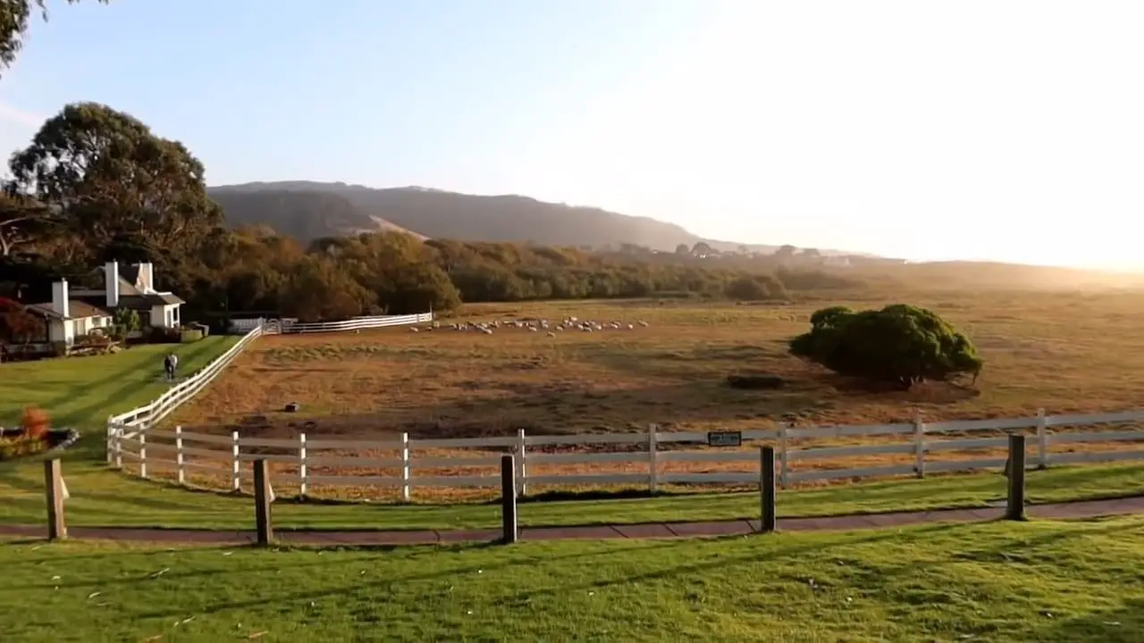 The area surrounding Clint Eastwood’s house