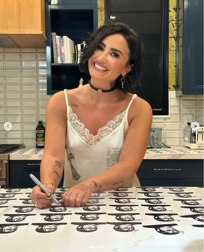 Demi Lovato’s kitchen