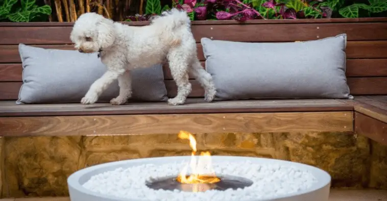 Eco-Friendly Elegance: Exploring the Advantages of Ethanol Fire Pits