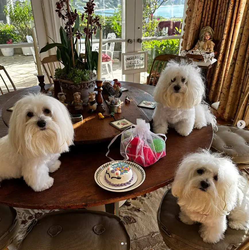 Barbra Streisand’s dining area