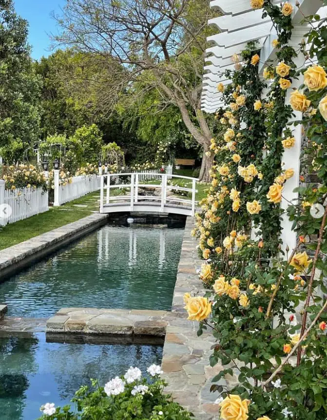 Barbra Streisand’s pool