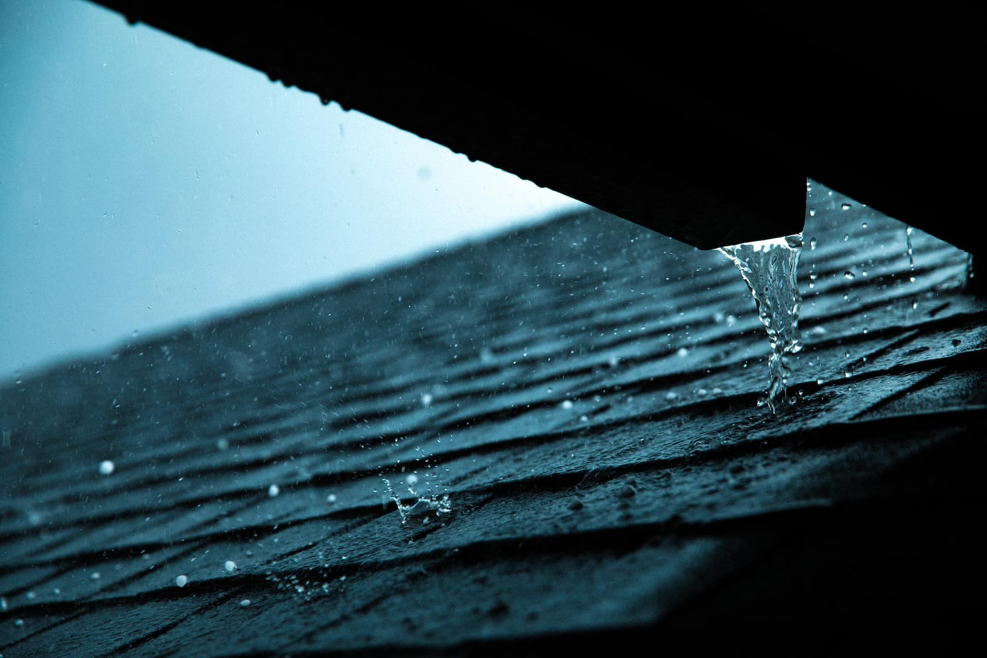 Roof Shingles