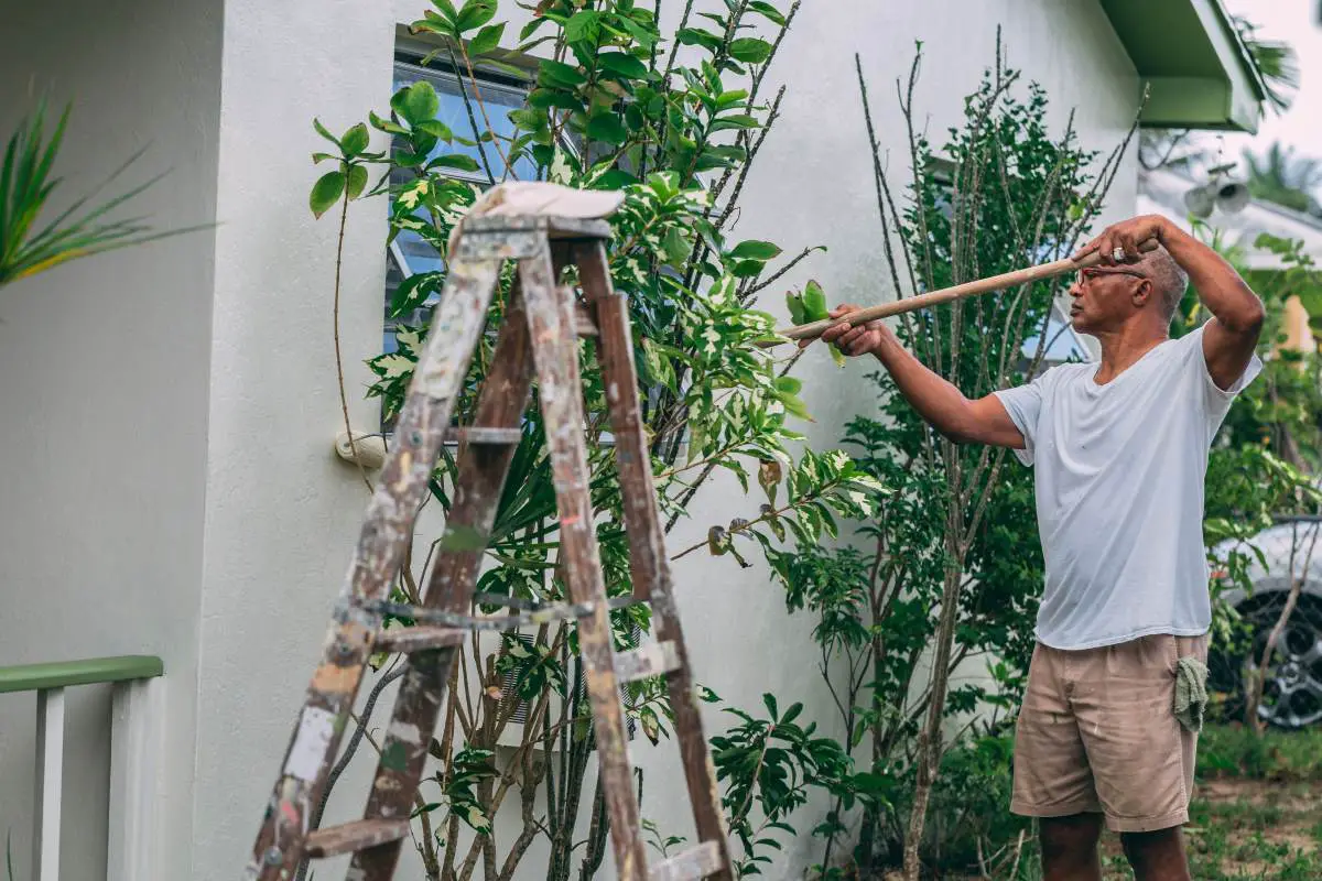Painting A Home's Exterior