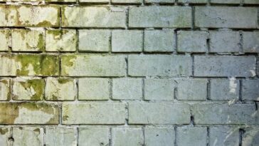 Mold On Brick Wall
